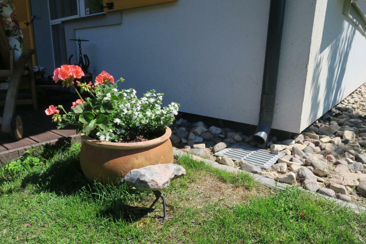 Apartmenti Zvejniekciema Saulkrasti Exterior foto